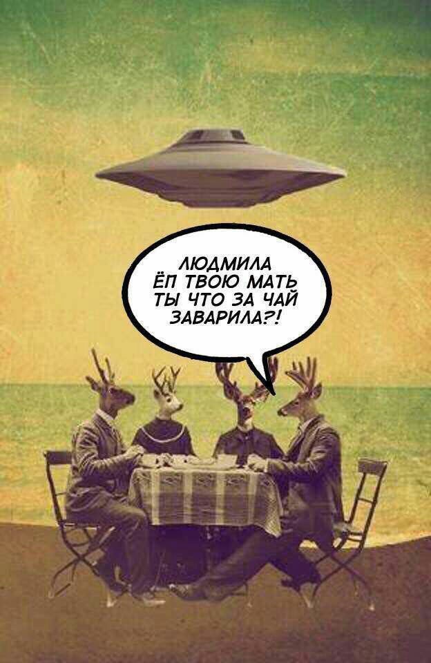 чай.jpg