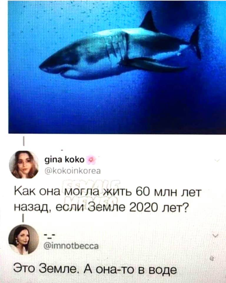 103540625_10223933285058836_2960641018034842966_n.jpg