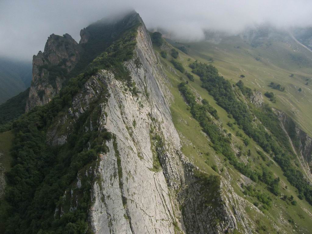 1495908.jpg