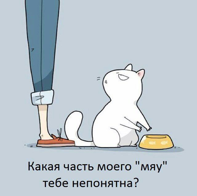 223031515_230770.jpg
