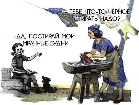 bY7PfLo0SBs.jpg