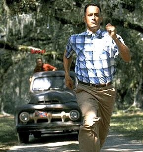 forrest.jpg