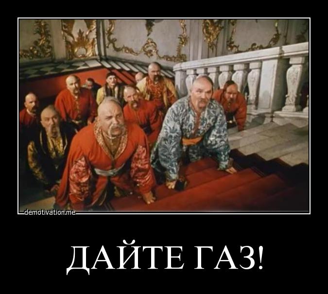 g8zly3amxmo6.jpg