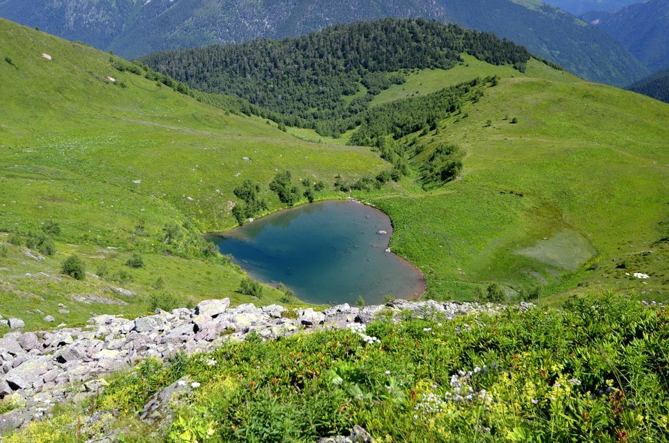 image (1).jpg