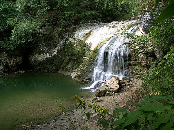 p_573757.jpg