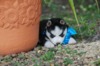 DSC_6183.JPG