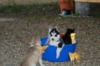 DSC_6218.JPG