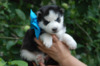 DSC_6152.JPG