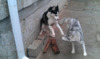 IMAG0283.jpg