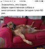 4d6a6ba36aae6540aae53250854e073defc8de4c4929c66a2413b8d2a6e4d4e8_1.jpg